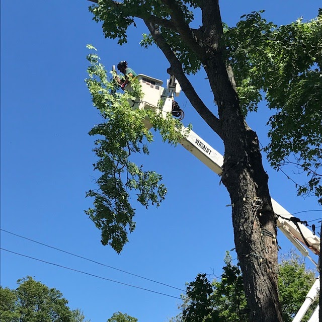 Ken Gilbert Bucket Truck Service | 18905 Nova Scotia Trunk 2, Nappan, NS B0L 1C0, Canada | Phone: (902) 669-0646