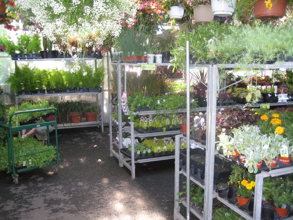 Plantation Garden Centre | 2408 4 St NW, Calgary, AB T2M 2Z7, Canada | Phone: (403) 277-4769