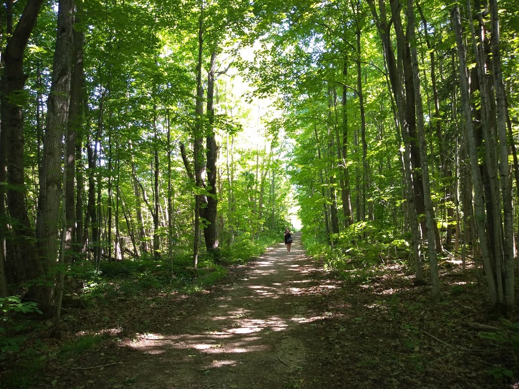 Bognor Marsh Management Area | 104277 Grey County Rd 18, Bognor, ON N0H 1E0, Canada | Phone: (519) 376-3076