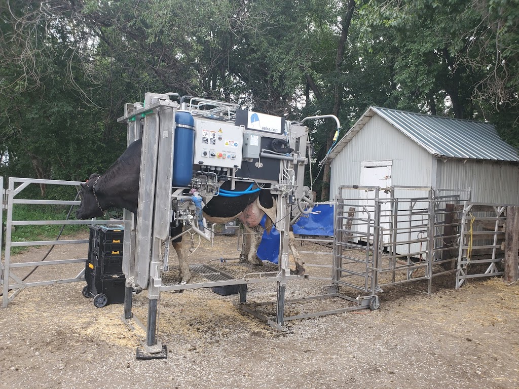 Rippleview Hoof Care Ltd. | Road 22W, Carman, MB R0G 0J0, Canada | Phone: (204) 771-8943