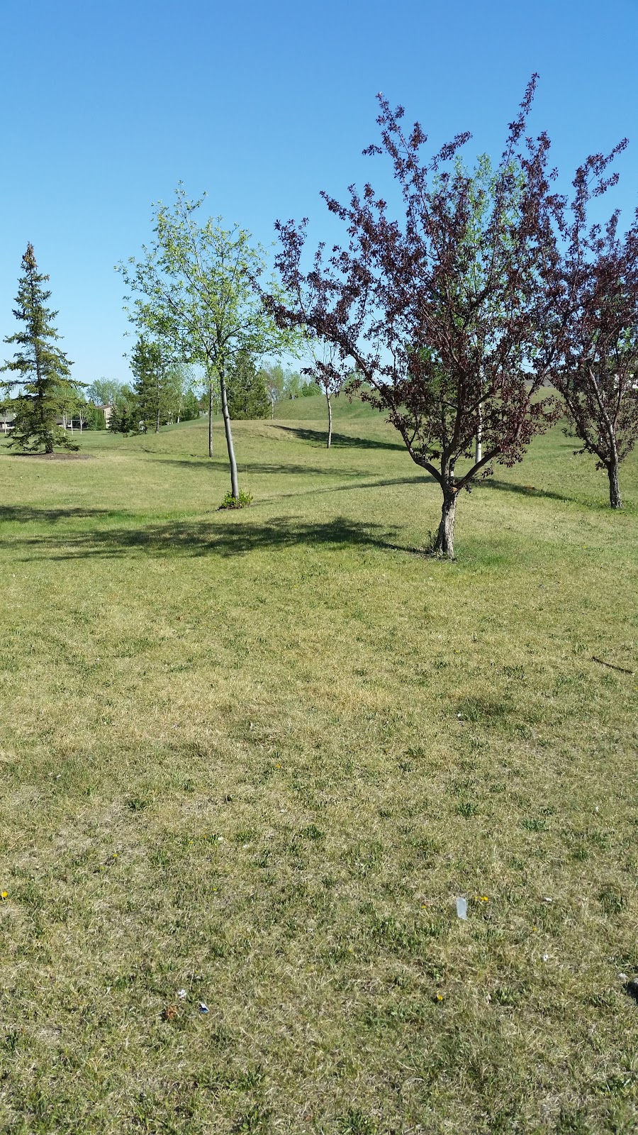 Park com campo | 18053 98 Ave NW, Edmonton, AB T5T 3V2, Canada