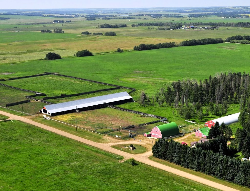 Wolfville Acres Stables & Kennels | 274052 TWP RD 424, Ponoka County, AB T4J 1R3, Canada | Phone: (403) 783-2900