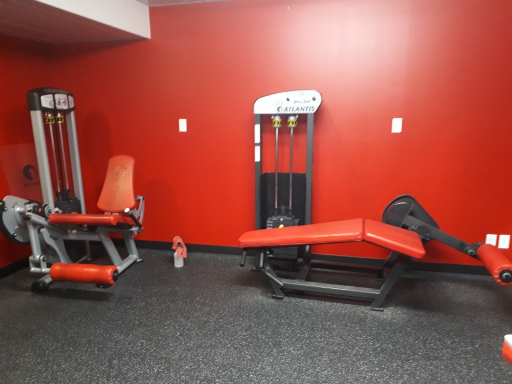 Devloos Gym | 271 Loren Dr, Morden, MB R6M 1P4, Canada | Phone: (204) 825-7368