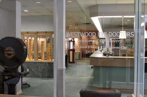 Westwood Eye Doctors | 1120 Westwood St Suite 101, Coquitlam, BC V3B 4S4, Canada | Phone: (604) 464-3843