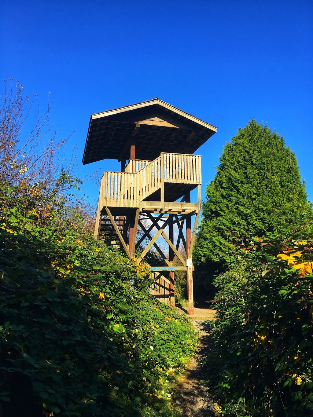 Serpentine Fen Observation Deck | 44 Ave, Surrey, BC V3S 0L2, Canada