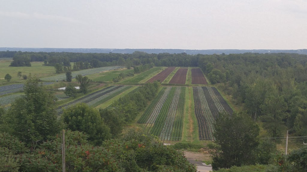 Verger Barry | 1433 Boulevard Lanaudière, Sainte-Anne-de-la-Pérade, QC G0X 2J0, Canada | Phone: (418) 325-2274