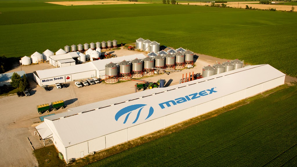 Maizex Seeds Inc | 4488 Mint Line, Tilbury, ON N0P 2L0, Canada | Phone: (519) 682-1720