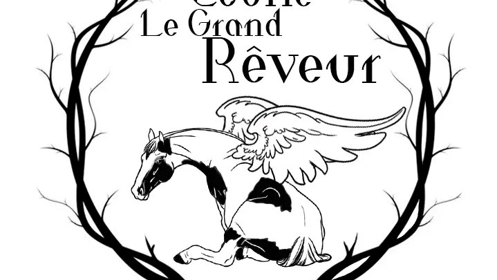 Écurie Grand-Rêveur | 154 Grand Rang, Saint-Basile, QC G0A 3G0, Canada | Phone: (418) 803-8155