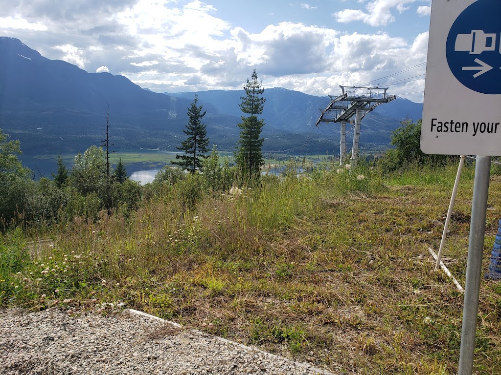 The Pipe Mountain Coaster | 2950 Camozzi Rd, Revelstoke, BC V0E 2S1, Canada | Phone: (866) 373-4754