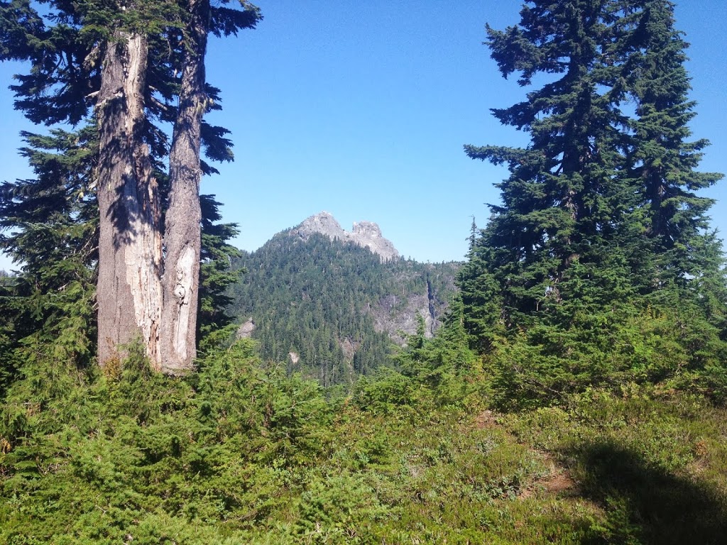 Ridge Trail | Ridge Trail, North Vancouver, BC V7K 1X8, Canada