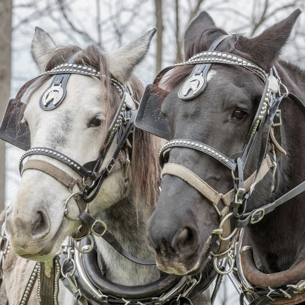 Lougheed Farm & Estates | 110 Powerline Rd, Brantford, ON N3T 5L8, Canada | Phone: (226) 450-2594