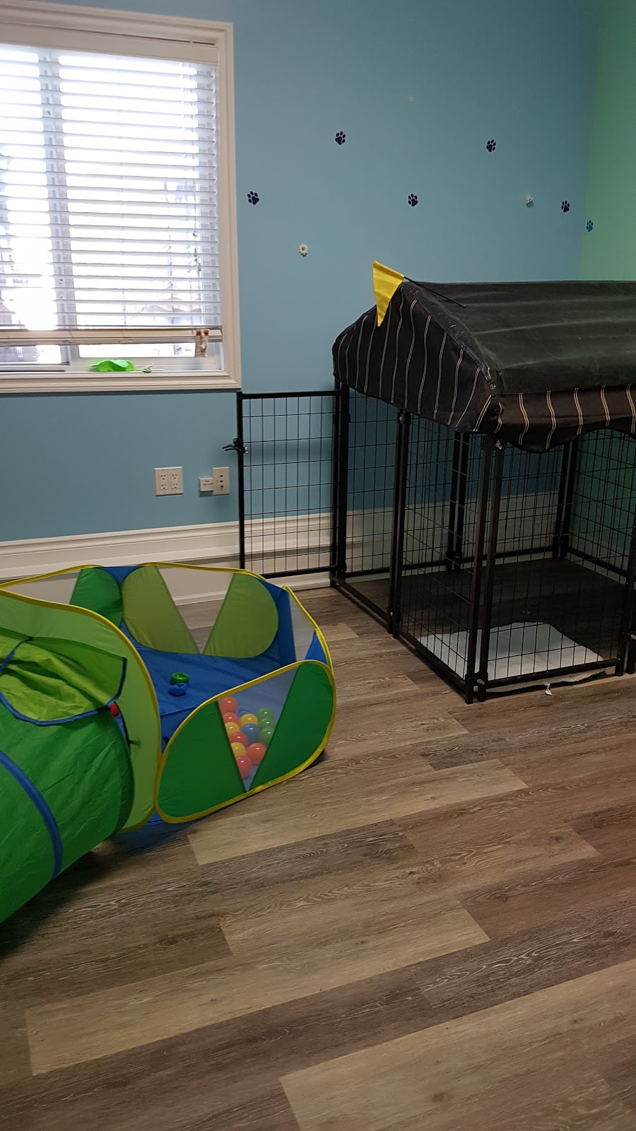 Lady and the Tramp Pet Resort | 3200 Golf Course Rd N, Stony Plain, AB T7Z 1V6, Canada | Phone: (780) 963-9997