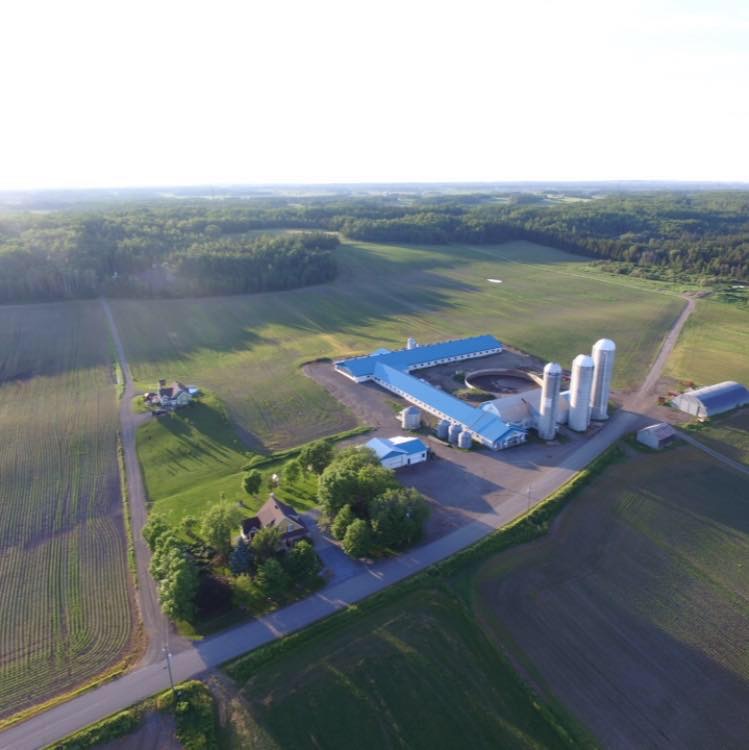 Ferme du loup inc | 380 Rang St Ernest, Saint-Alexandre-de-Kamouraska, QC G0L 2G0, Canada | Phone: (418) 866-0701