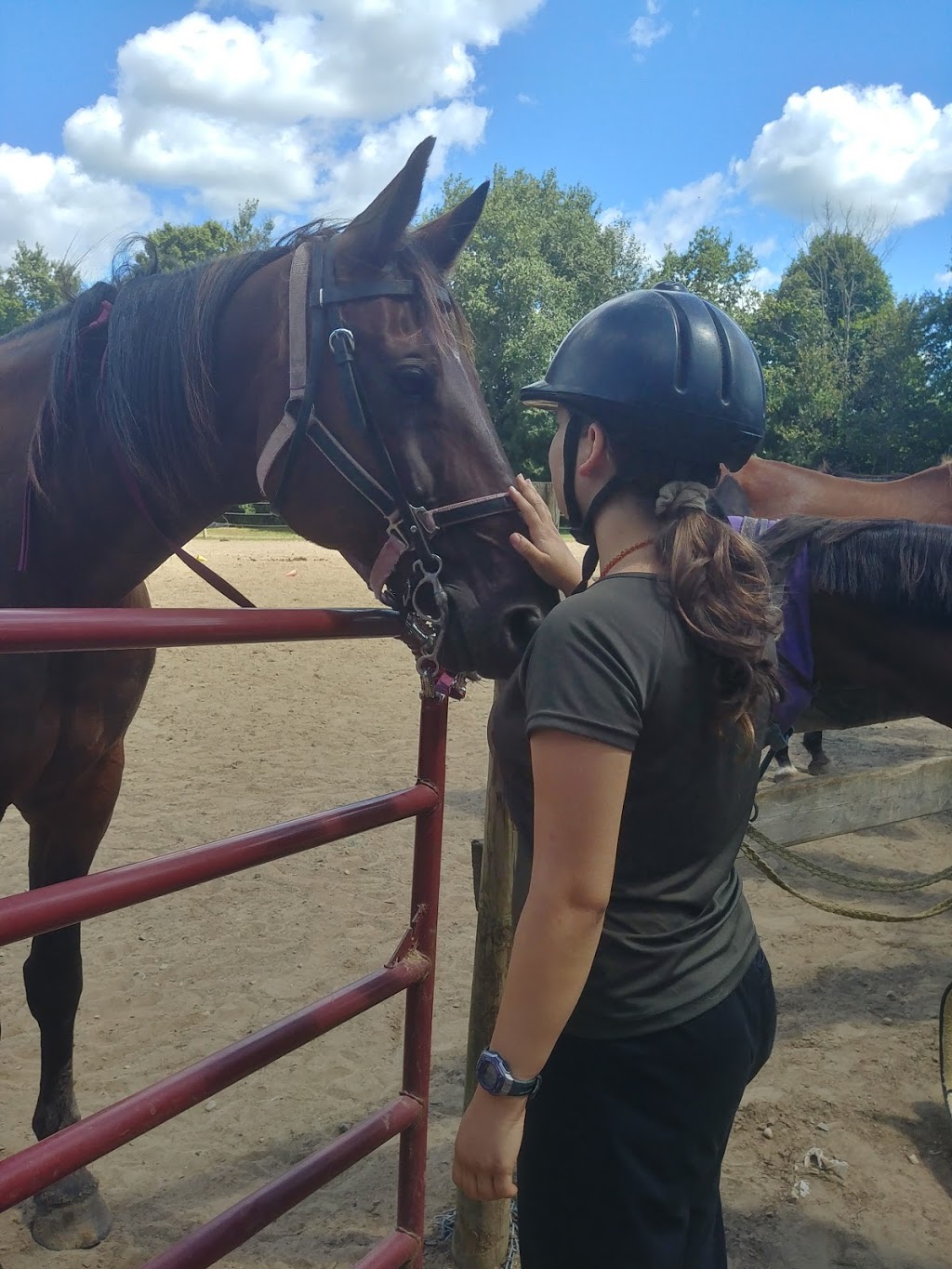 Darkin Riding Stables | 6253 Brown Rd, Port Burwell, ON N0J 1T0, Canada | Phone: (519) 280-1819