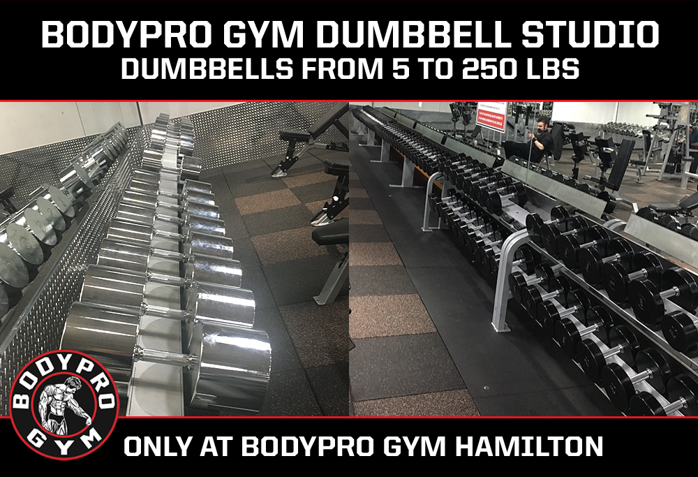 Body Pro Gym - Hamilton | 635 Upper Wentworth St, Hamilton, ON L9A 4V4, Canada | Phone: (905) 574-2639