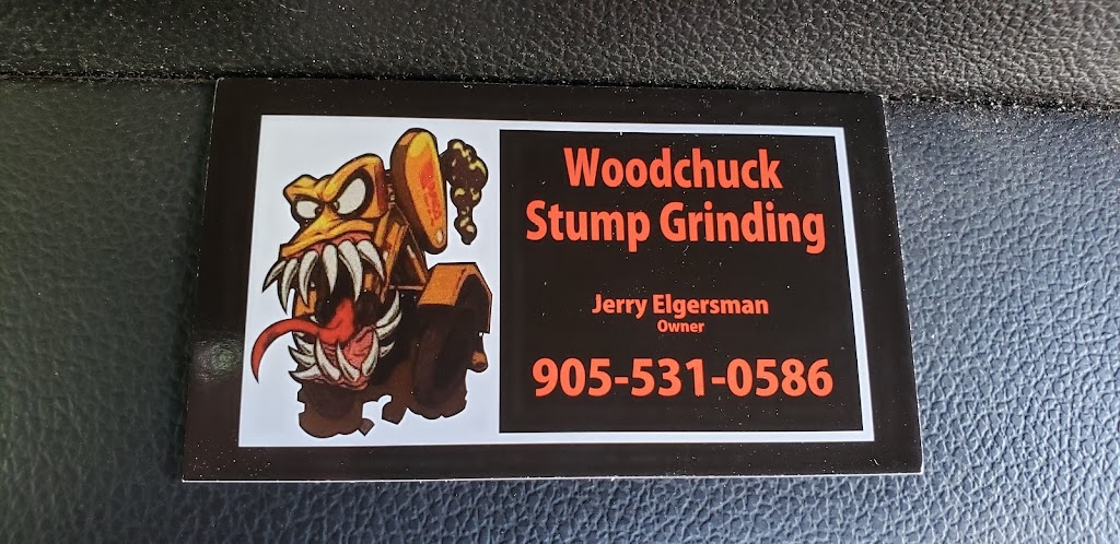 Woodchuck Stump Grinding | 111 King St E, Hagersville, ON N0A 1H0, Canada | Phone: (905) 531-0586