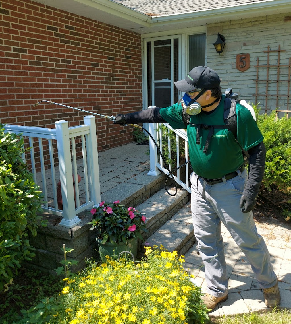 Jays Pest Control | 5 Acadia Dr, Cobourg, ON K9A 1T8, Canada | Phone: (905) 377-1035