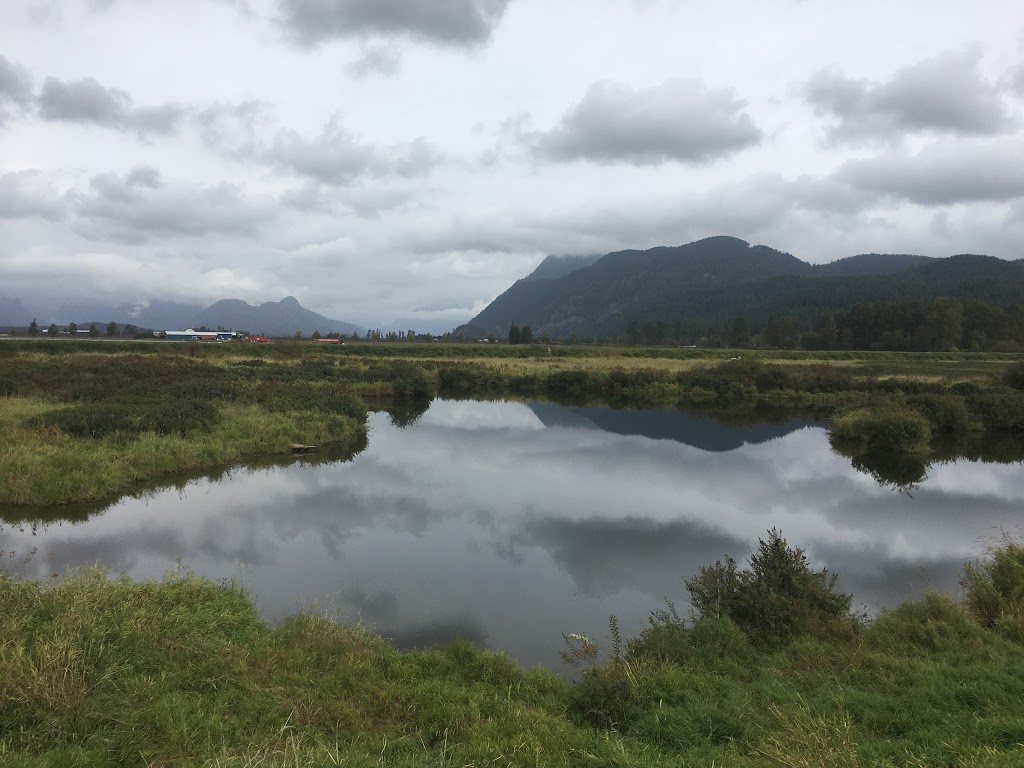 Leghorn Ranch Trail Rides & Hay Sales | 20254 Old Dewdney Trunk Rd, Pitt Meadows, BC V3Y 1Z1, Canada | Phone: (778) 886-1343