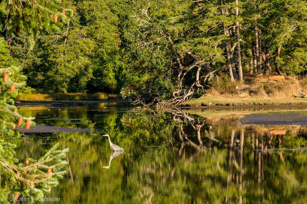 Wittys Lagoon Regional Park Nature House | 4115 Metchosin Rd, Victoria, BC V9C 3Z6, Canada | Phone: (250) 474-2454