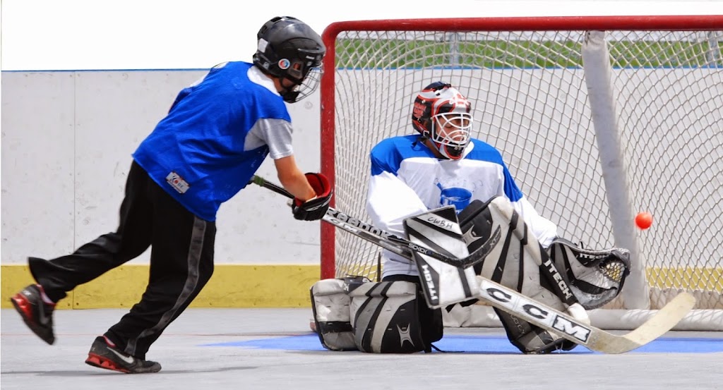 Royal City Ball Hockey | 133 Woodlawn Rd E, Guelph, ON N1E 7A8, Canada | Phone: (519) 994-0500