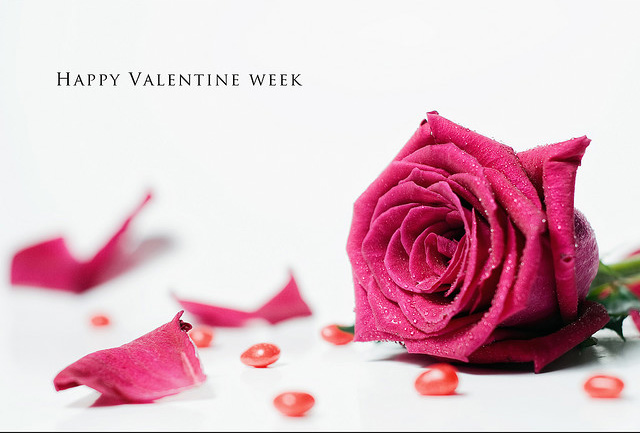 A Toronto Florist - Valentines Day Roses | 975 Glencairn Ave, North York, ON M6B 2A8, Canada | Phone: (647) 280-4438