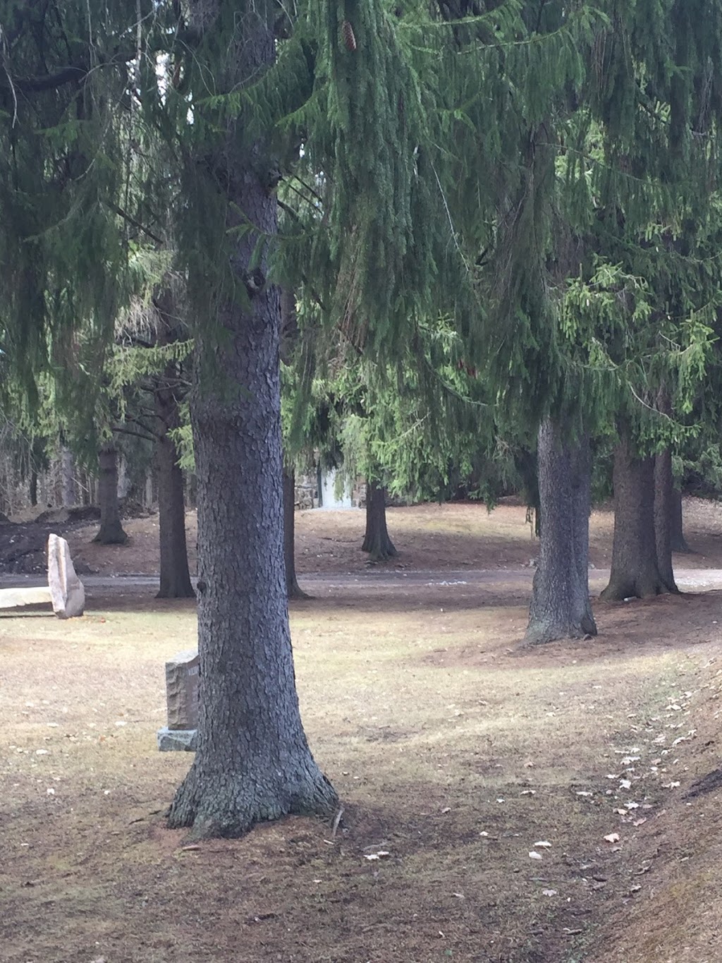 Kettleby Cemetery | 631 Kettleby Rd, King, ON L7B 0C9, Canada | Phone: (416) 301-7846