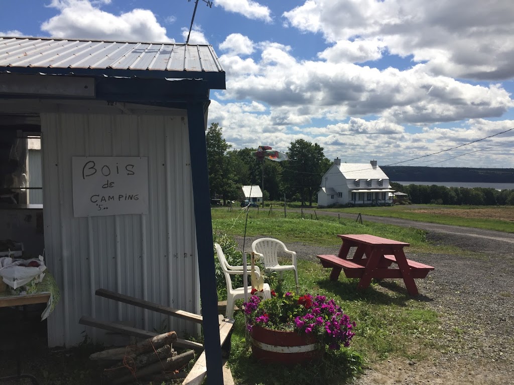 Ferme Denis Plante Fraises Framboises | 7497 Chem. Royal, Saint-Laurent-de-lÎle-dOrléans, QC G0A 3Z0, Canada | Phone: (418) 828-2429