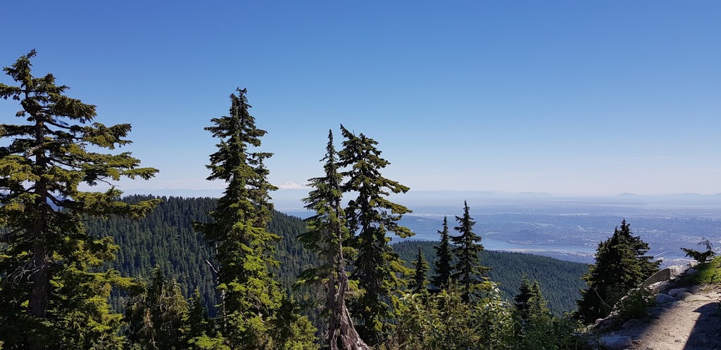 Grouse Mountain Grizzly Bear Habitat | North Vancouver, BC V7R, Canada | Phone: (604) 980-9311