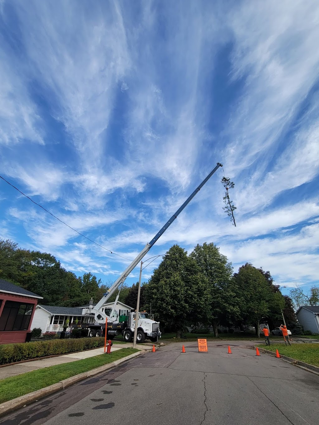 Arbor-Tech Tree Service Inc | 1240 Route 114, Lower Coverdale, NB E1J 1A6, Canada | Phone: (506) 382-0712