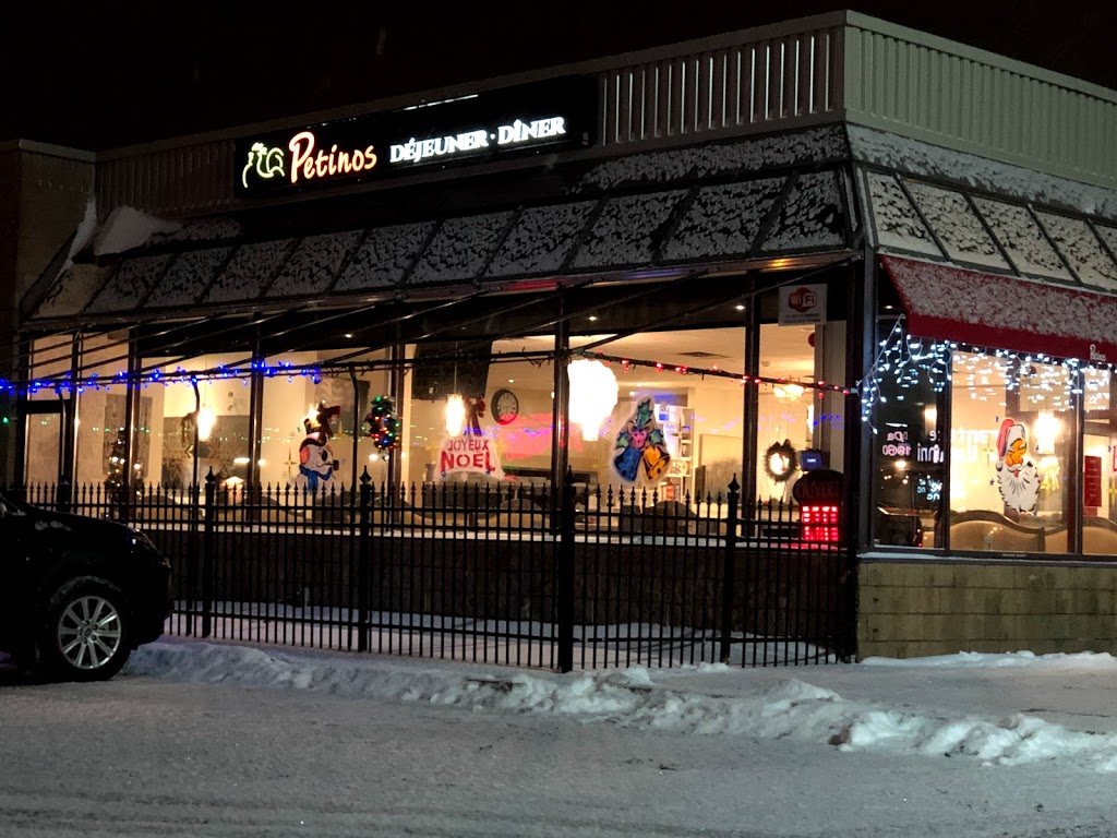 Petinos Vaudreuil-Dorion | 590 Avenue Saint-Charles, Vaudreuil-Dorion, QC J7V 8H2, Canada | Phone: (450) 424-0021