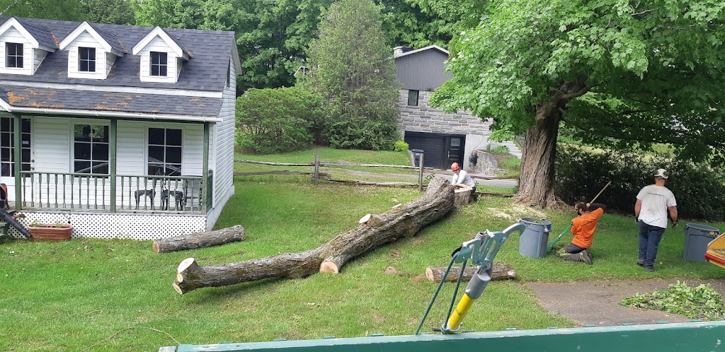 Arboriculture Esh Inc | 896 Rue Lamontagne, Saint-Jérôme, QC J5L 1V2, Canada | Phone: (450) 438-8002