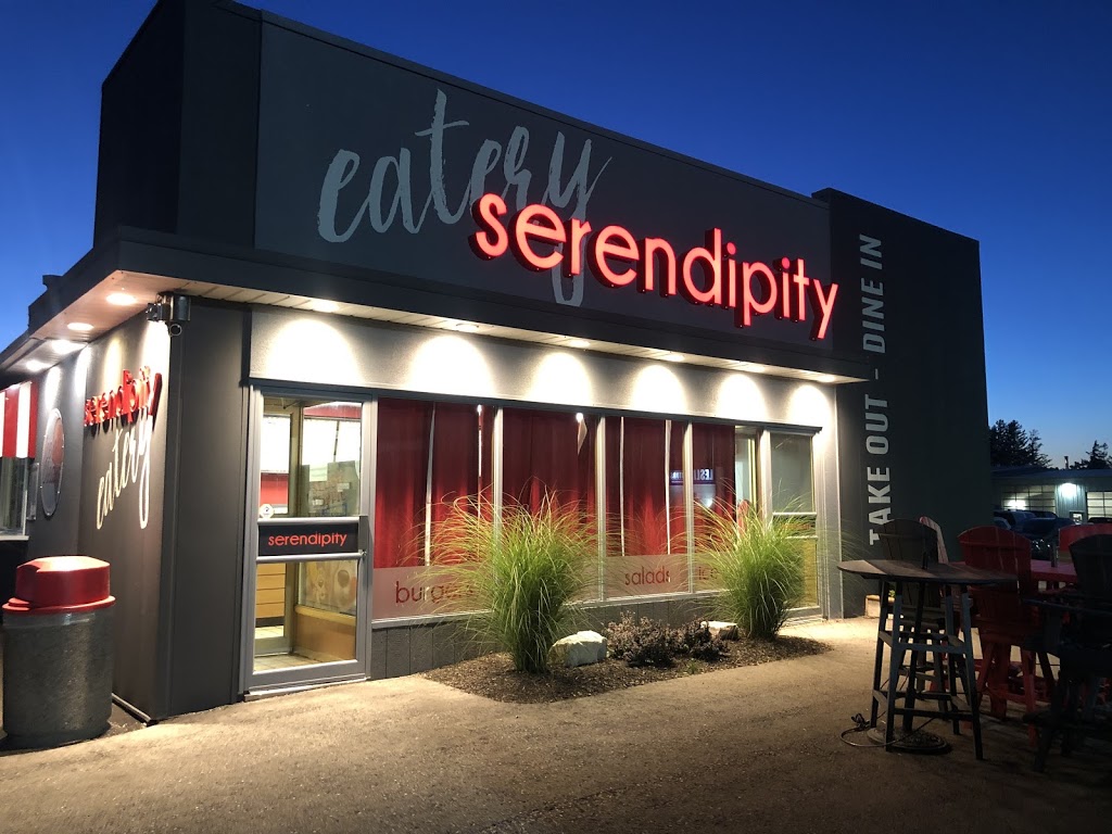 Serendipity | 1451 Yonge St S, Walkerton, ON N0G 2V0, Canada | Phone: (519) 507-1100