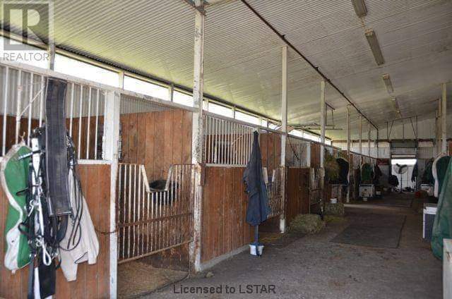 Mossley Horse Training Center | 4245 Elgin Rd, Mossley, ON N0L 1V0, Canada | Phone: (226) 581-4456
