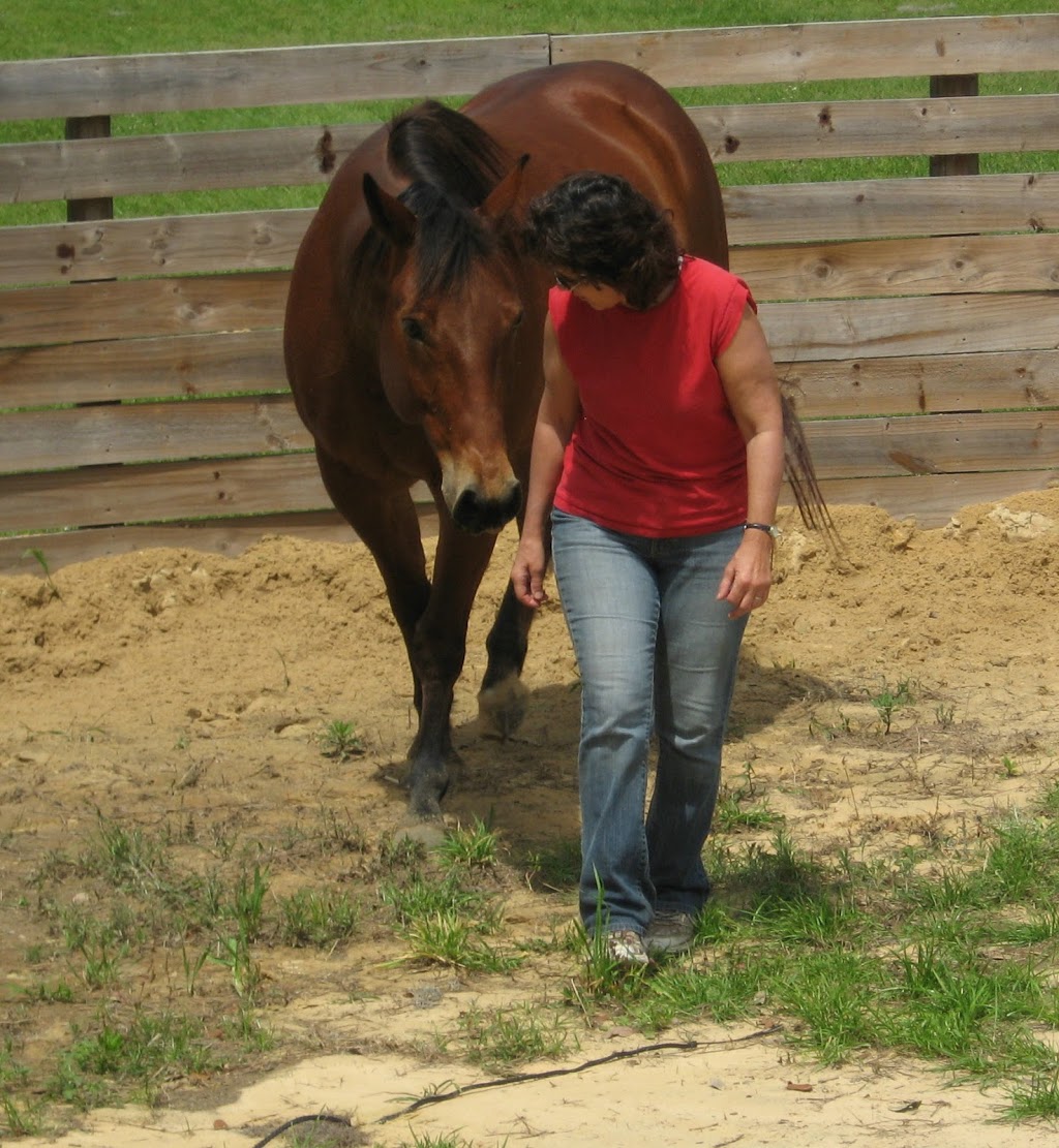 Story Book Meadows Equine Assisted Learning Center & Horse Thera | 8058 Adjala 20 Sideroad, Loretto, ON L0G 1L0, Canada | Phone: (705) 716-7971