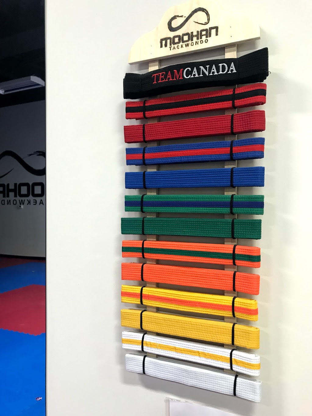 Moohan Taekwondo | 72 Copper Creek Dr #7, Markham, ON L6B 0P2, Canada | Phone: (905) 471-9482