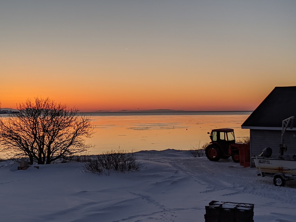 Colville Bay Oyster Co. Ltd. | 83 Lower Rollo Bay Rd, Souris, PE C0A 2B0, Canada | Phone: (902) 687-2222