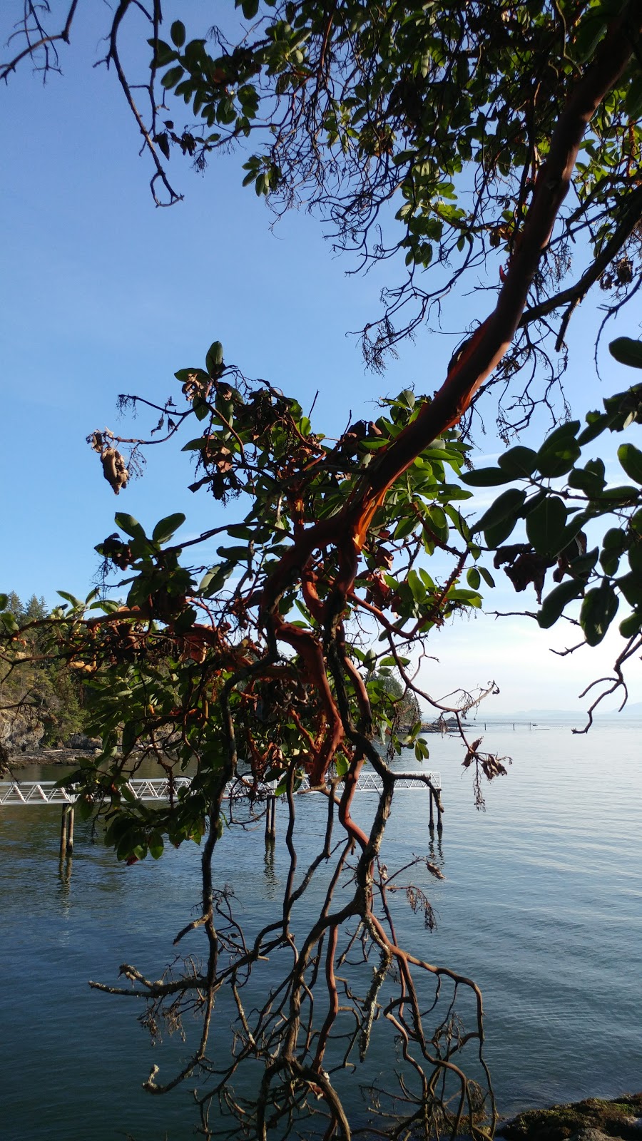 Western Bowen Island Bay | Bowen Island, BC V0N 1G2, Canada