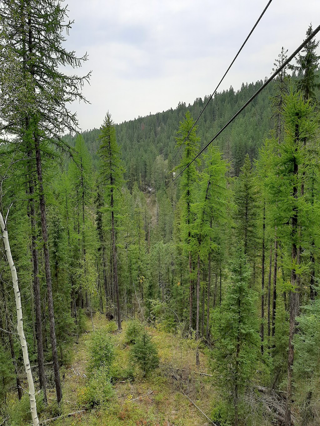 Mineral Mountain Ziplines | 5229 Fairmont Resort Rd, Fairmont Hot Springs, BC V0B 1L1, Canada | Phone: (844) 888-6695