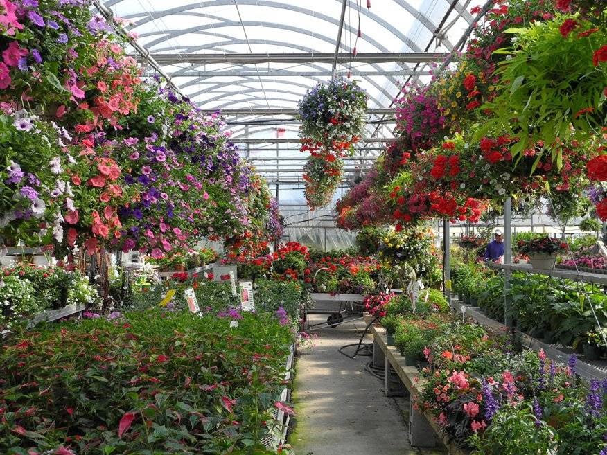 Masfrankc Garden Centre | 2188 West Corner Drive (Just North of Parkhill on Grand Bend Rd) Parkhill, ON, Canada, North Middlesex, ON N0M 2K0, Canada | Phone: (519) 294-0055