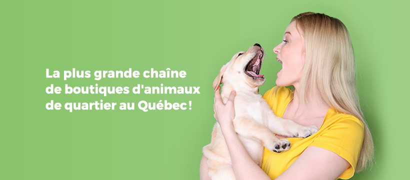 Pet shop Chico Mirabel (Saint-Canut) | 13845 Chemin St Simon, Mirabel, QC J7N 1P3, Canada | Phone: (450) 504-3771