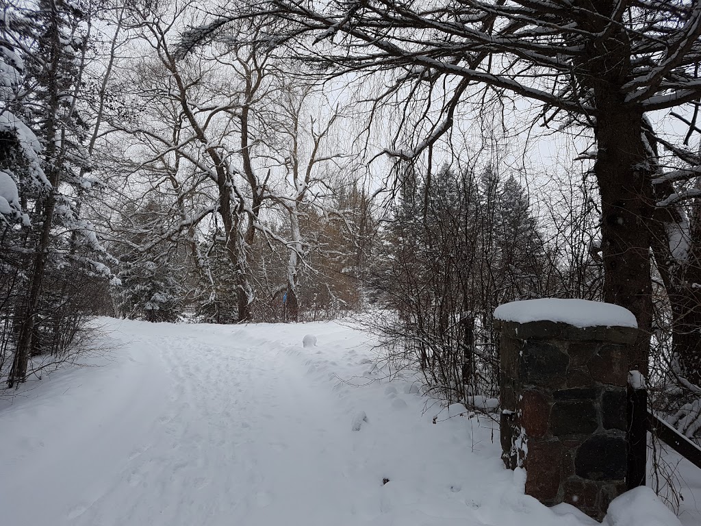 Secord Forest and Wildlife Area | Goodwood, ON L0C 1A0, Canada