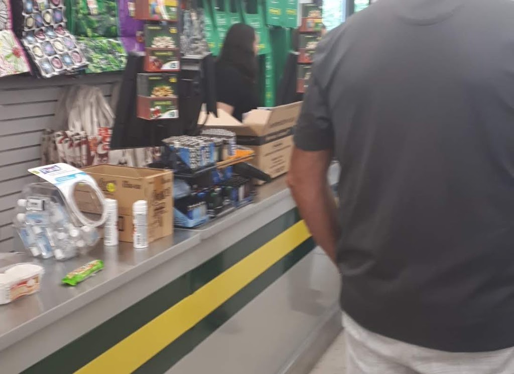 Dollarama | Adele Promenades, 555 Boulevard de Sainte-Adèle, Sainte-Adèle, QC J8B 1A7, Canada | Phone: (450) 229-5837