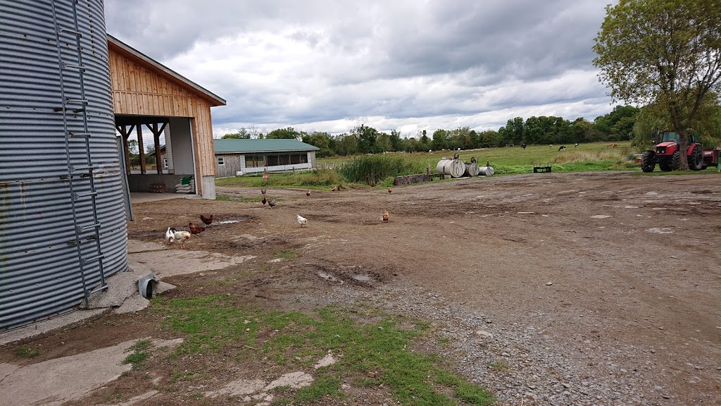 SONSET FARM | 4403 Latimer Rd, Inverary, ON K0H 1X0, Canada | Phone: (613) 353-2260