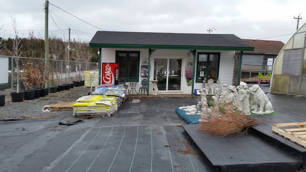 Pats Plants & Gardens | 787 Main Rd, Bay Bulls, NL A0A 1C0, Canada | Phone: (709) 334-2987