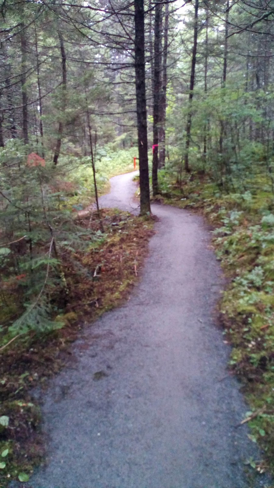 Moose Bog Trail lot | 05846 VT-105, Island Pond, VT 05846, USA