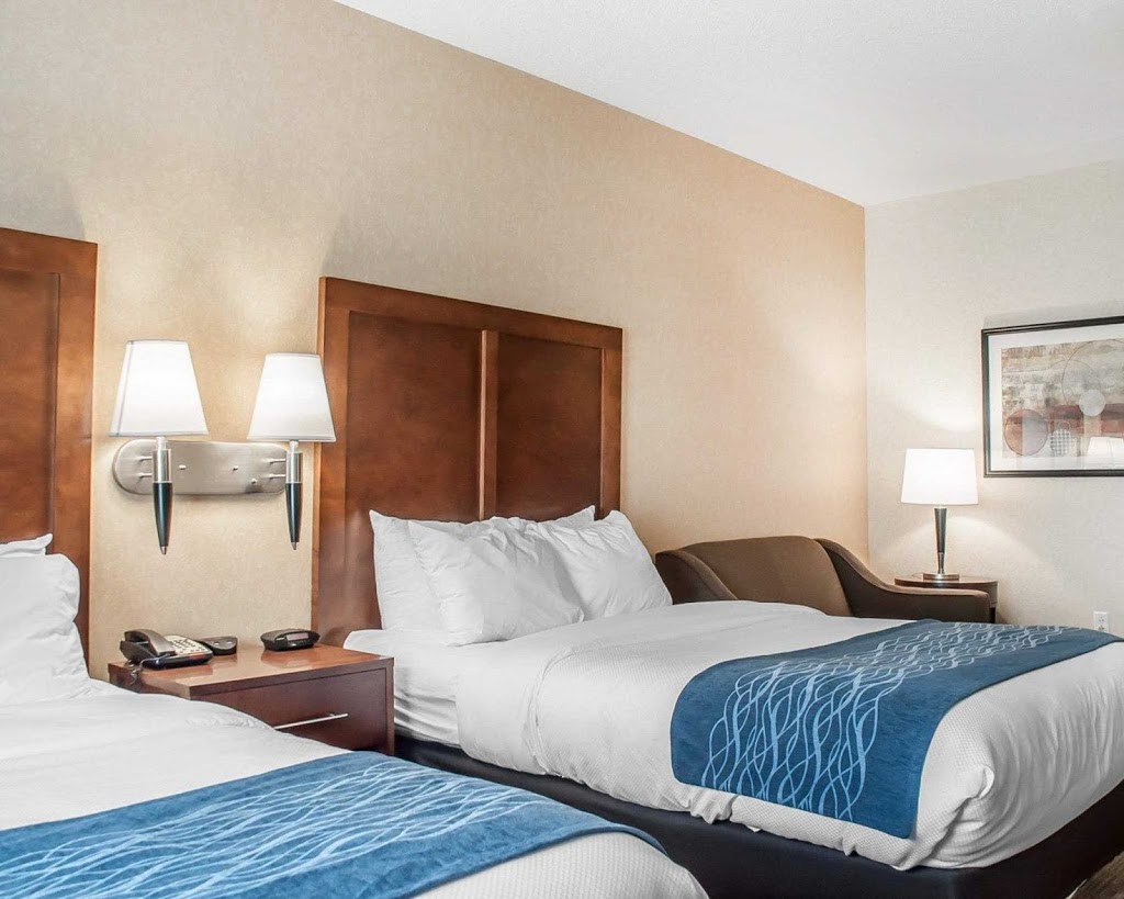 Comfort Inn & Suites | 3615 Commerce Pl, Hamburg, NY 14075, USA | Phone: (716) 648-2922