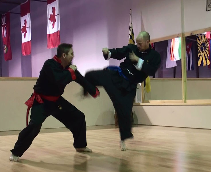 Iron Tree Dojo | 287 Tiffin St, Barrie, ON L4N 7R8, Canada | Phone: (705) 716-3024