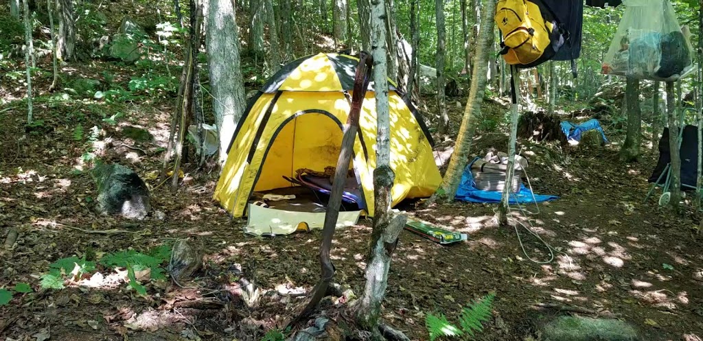 Le petit refuge des bois | 10-24 Chemin du Tremble, Lantier, QC J0T 1V0, Canada | Phone: (438) 404-8323