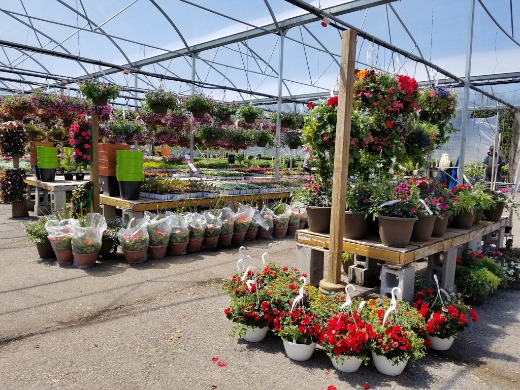 Emery Garden Center | 600 Boulevard Maloney E, Gatineau, QC J8P 7M4, Canada | Phone: (819) 663-0880