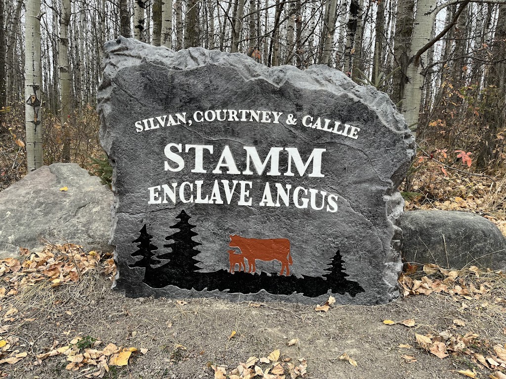 Enclave Angus | Site 2 Box 10 Rural Route 3, Rimbey, AB T0C 2J0, Canada | Phone: (780) 679-8827